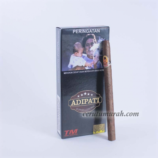 ADIPATI SUPEER CORONA