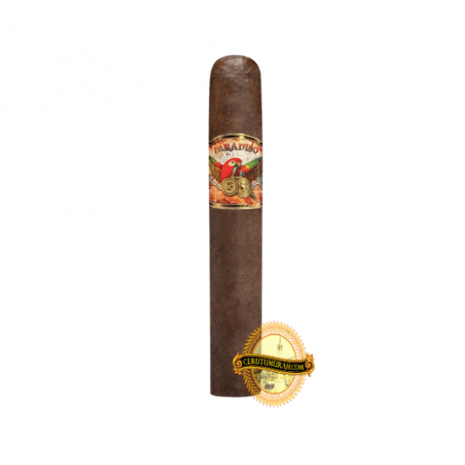 ASHTON PARADISO PAPAGAYO XXL - DOUBLE TORO