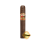 ASHTON PARADISO PAPAGAYO XXL - DOUBLE TORO