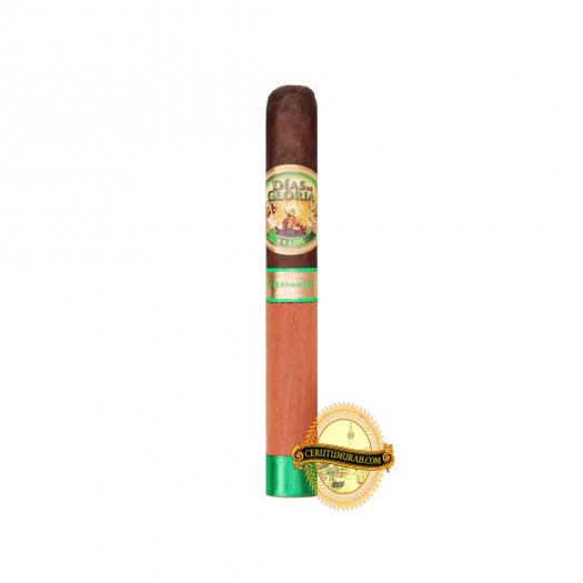 DIAS DE GLORIA BRAZIL ROBUSTO