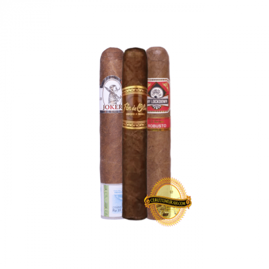 MIXED ROBUSTO SAMPLER