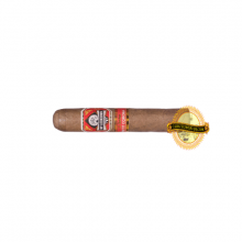 MY LOCKDOWN PETIT CORONA