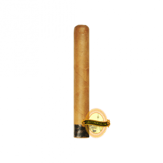 ROCKY PATEL THE EDGE CONNECTICUT - ROBUSTO